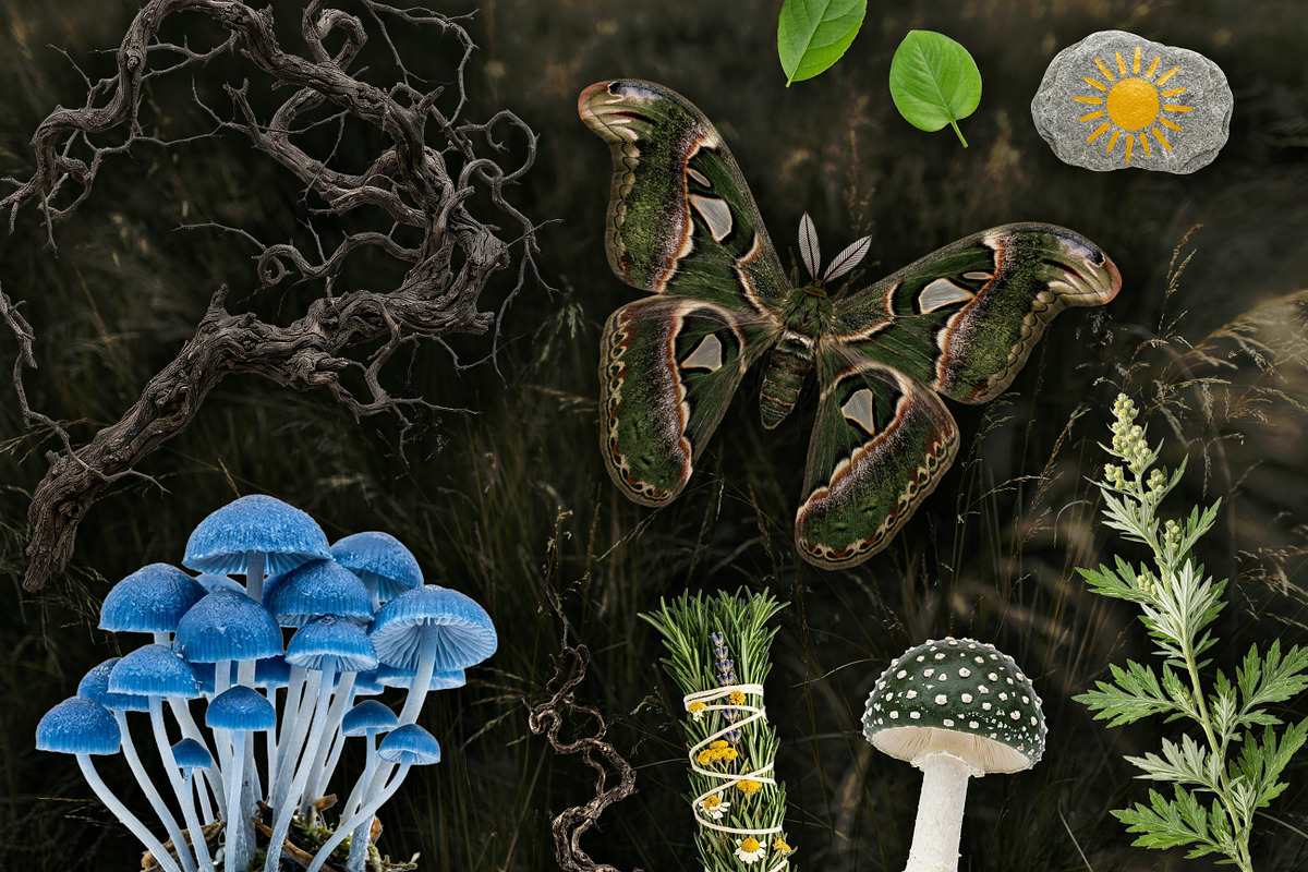 Witch's Magic Garden Collage Kit, an Object Illustration by Vicccky (Photo 7 of 9)