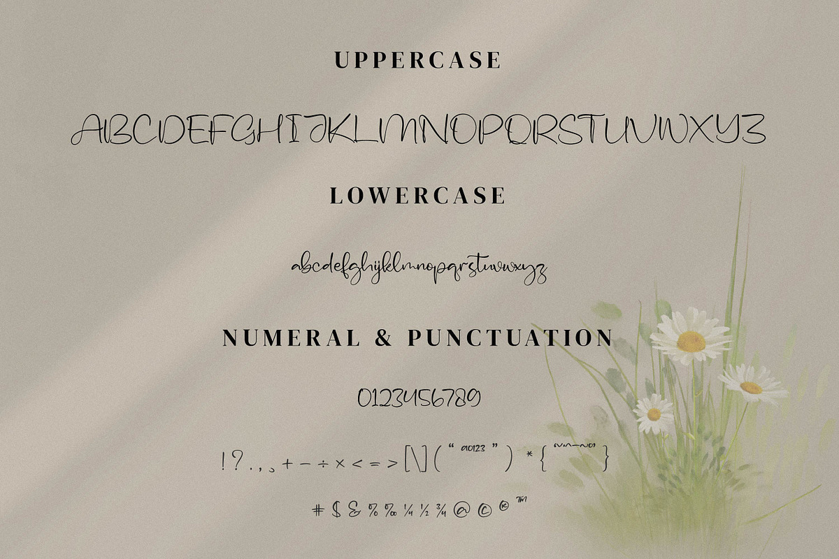 Asmeralka, a Script Font by Integritype Studio (Photo 8 of 14)