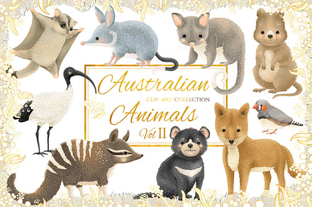 Australian Animals Collection, an Animal Illustration by Jen Digital Art