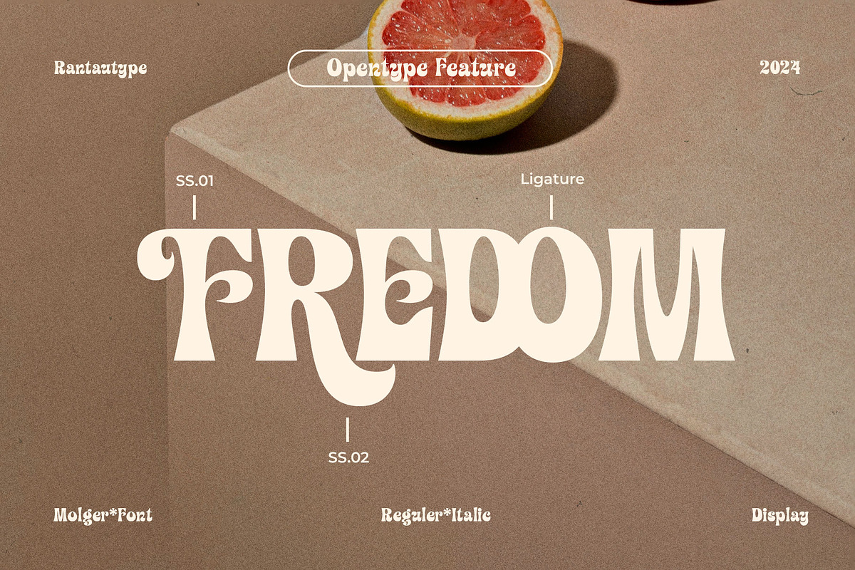 Molger Retro Display Font, a Serif Font by RantautypeStudio (Photo 9 of 17)
