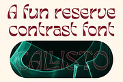 Himalia Callisto, a Serif Font by Dora Typefoundry (Thumbnail 5 of 11)