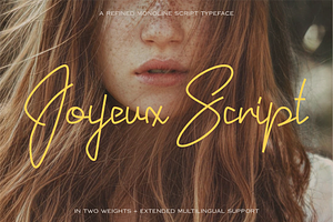 Joyeux Script
