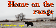 Medieval Gunslinger, a Blackletter Font by Ingrimayne Type (Thumbnail 1 of 5)