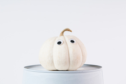 white halloween pumpkin, a Holiday Photo by Siân C Photography