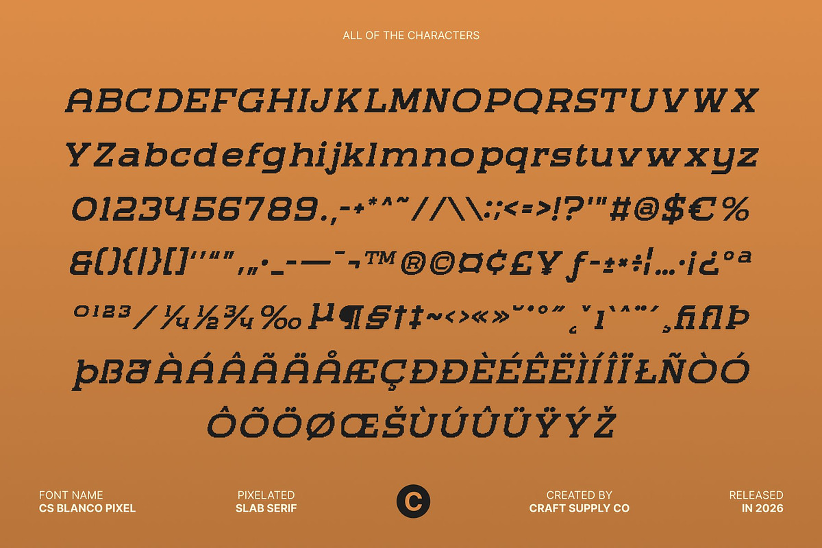 CS Blanco Pixel, a Slab Serif Font by Craft Supply Co. (Photo 8 of 8)
