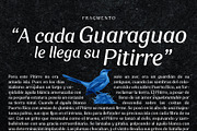 Zorzal | A serif-sans hybrid, a Serif Font by Pedroglifos (Thumbnail 2 of 11)