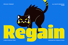 Regain - Bold Display Font