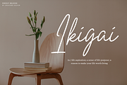 Perfect Beloved - Monoline Font, a Script Font by Creavibes Design (Thumbnail 5 of 12)