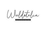 Weldatelia Monoline Script Font, a Script Font by NTC Graphic (Thumbnail 1 of 9)