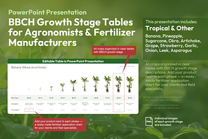 BBCH Growth Stages, Other Crops, a Presentation Template by Ilia Design