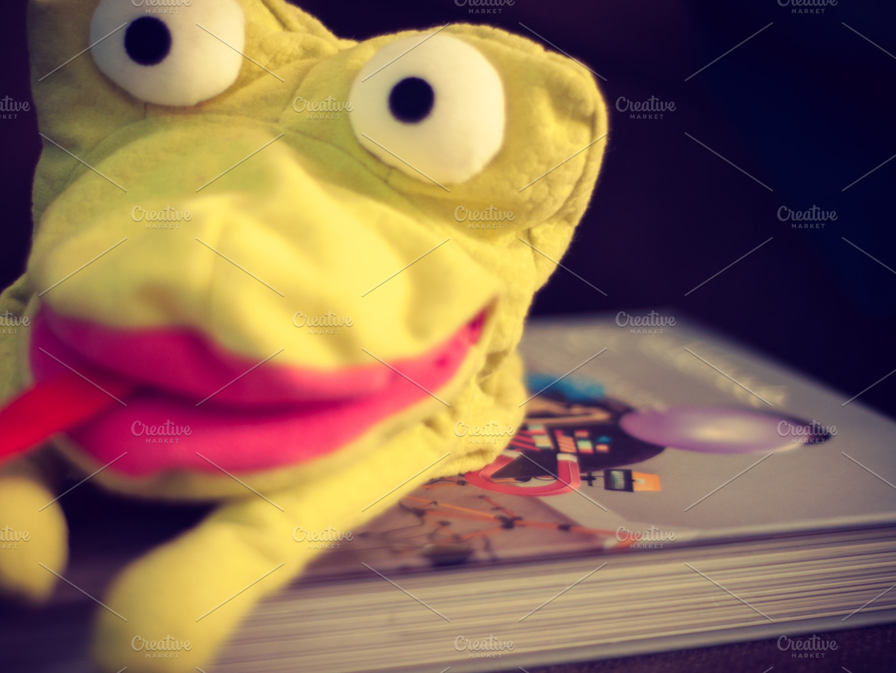 Happy frog stock photo
