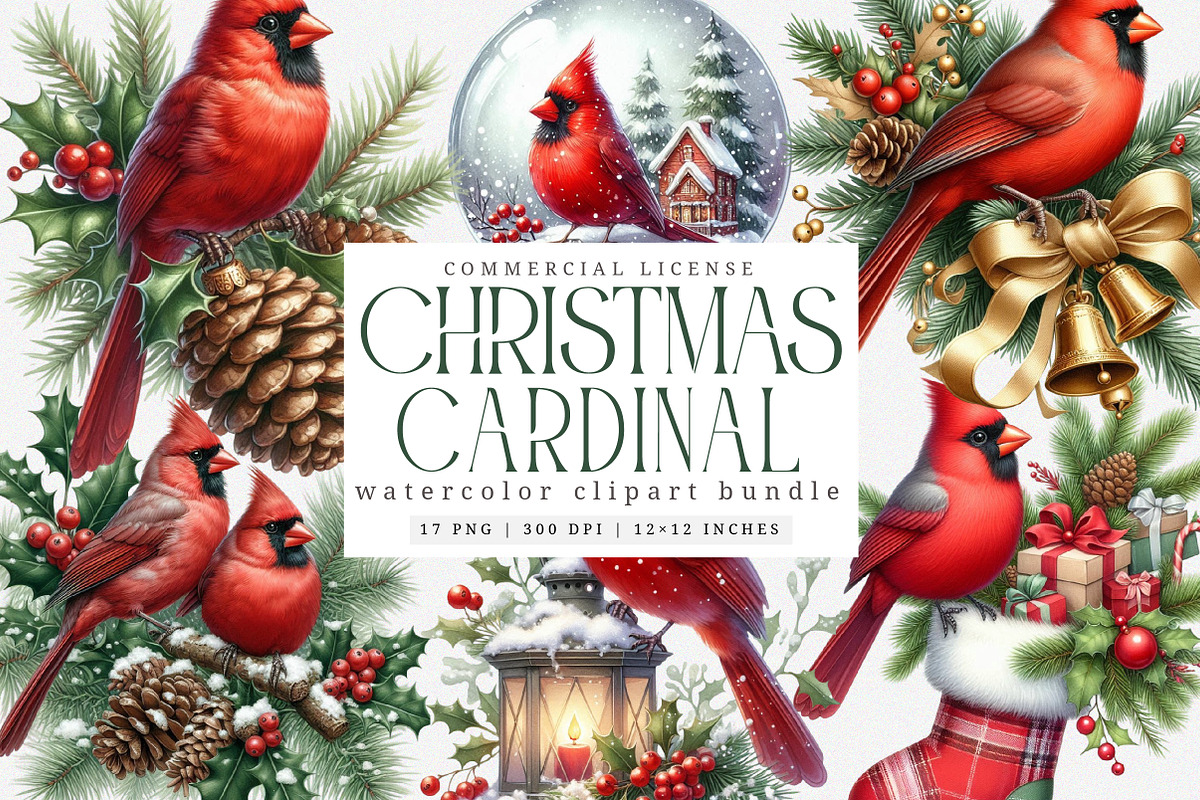 Christmas Red Cardinal Clipart, an Illustration by SinaCreation (Photo 1 of 7)