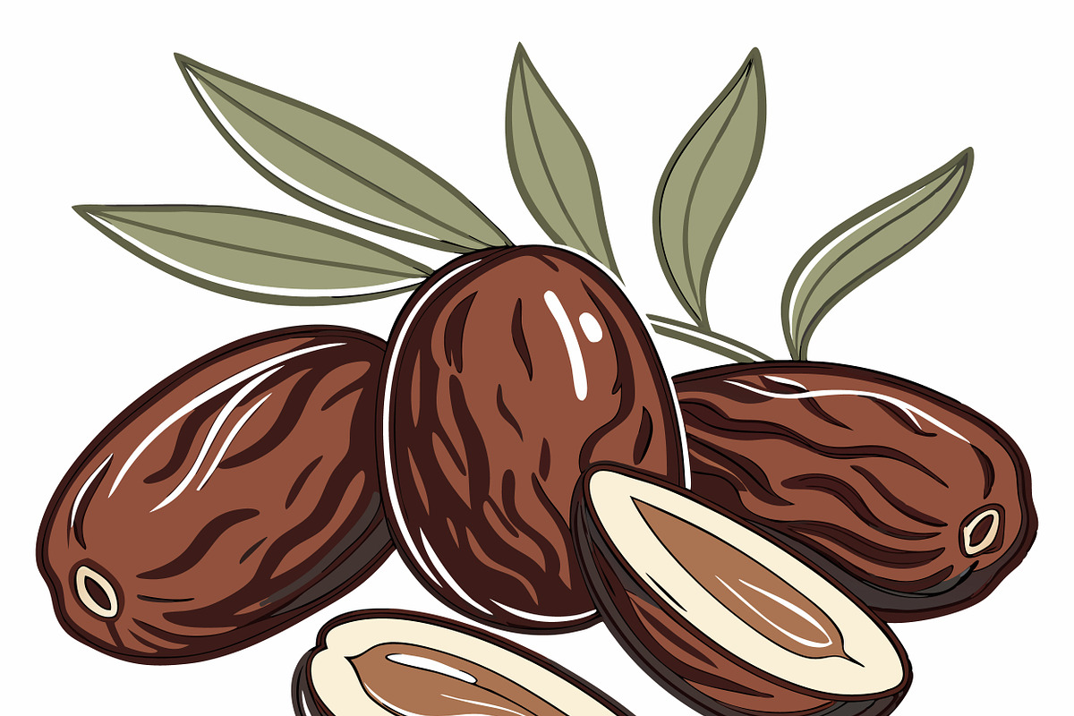 Ripe dates leaves and sliced fruit, a Food Illustration by SouravDesign (Photo 1 of 3)