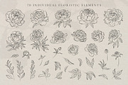 Line Art Peonies Illustrations, a Decorative Illustration by La Petite Line Art (Thumbnail 3 of 11)