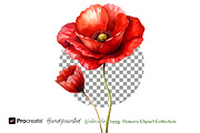 Watercolor Poppy Flowers Clipart, a Decorative Illustration by crafty (Thumbnail 2 of 8)