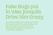 Mad Rascal - Font Family, a Serif Font by Get Studio (Thumbnail 19 of 24)