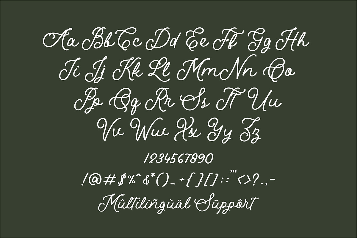 The Oldie Monoline Script, a Script Font by etigletters (Photo 9 of 9)
