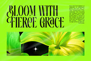 Ehkofa Modern Display Serif Font, a Serif Font by timelesstype.co (Thumbnail 10 of 20)