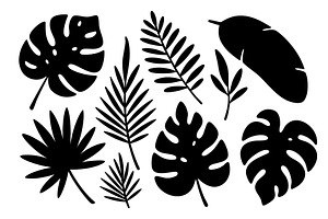 Black tropical leaf silhouettes, an Illustration by GraphiShop