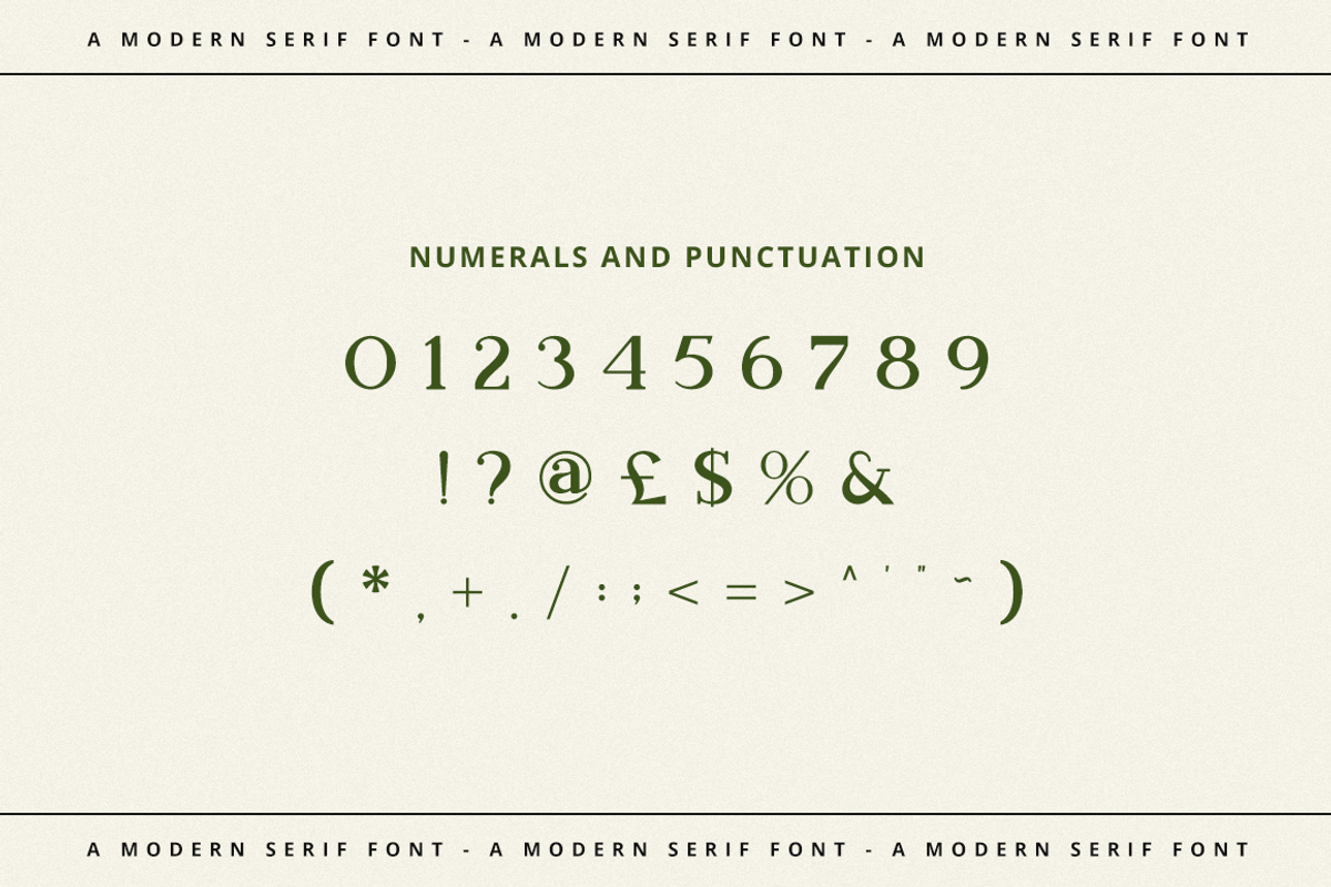 Bookinnes - Business Font, a Serif Font by RockboyStd (Photo 10 of 12)