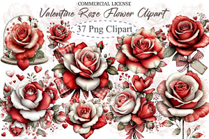 Valentine Rose Flower, an Illustration by designcity5