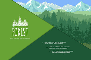 Colorful summer forest composition