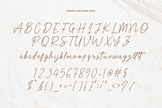 Perfect Beloved - Monoline Font, a Script Font by Creavibes Design (Thumbnail 8 of 12)