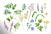 Summer Meadow, an Animal Illustration by Daria Ustiugova (Thumbnail 5 of 6)