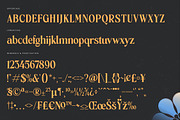 Vitoria Bold Tall Serif Display Font, a Serif Font by timelesstype.co (Thumbnail 18 of 20)