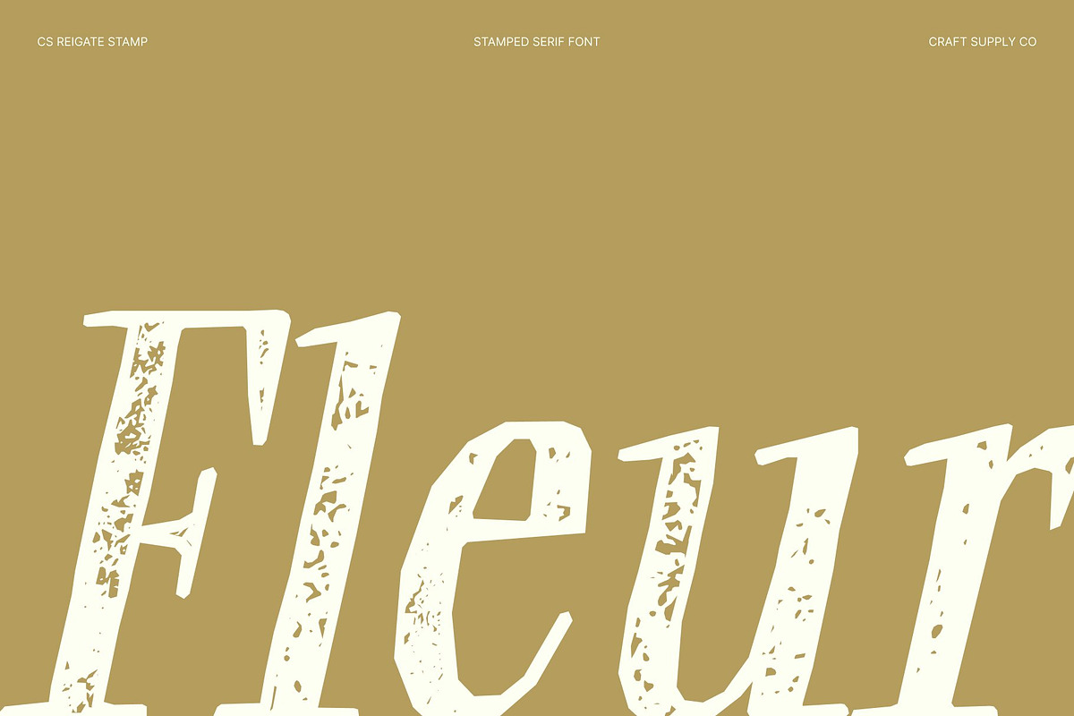 CS Reigate Stamp, a Serif Font by Craft Supply Co. (Photo 2 of 8)