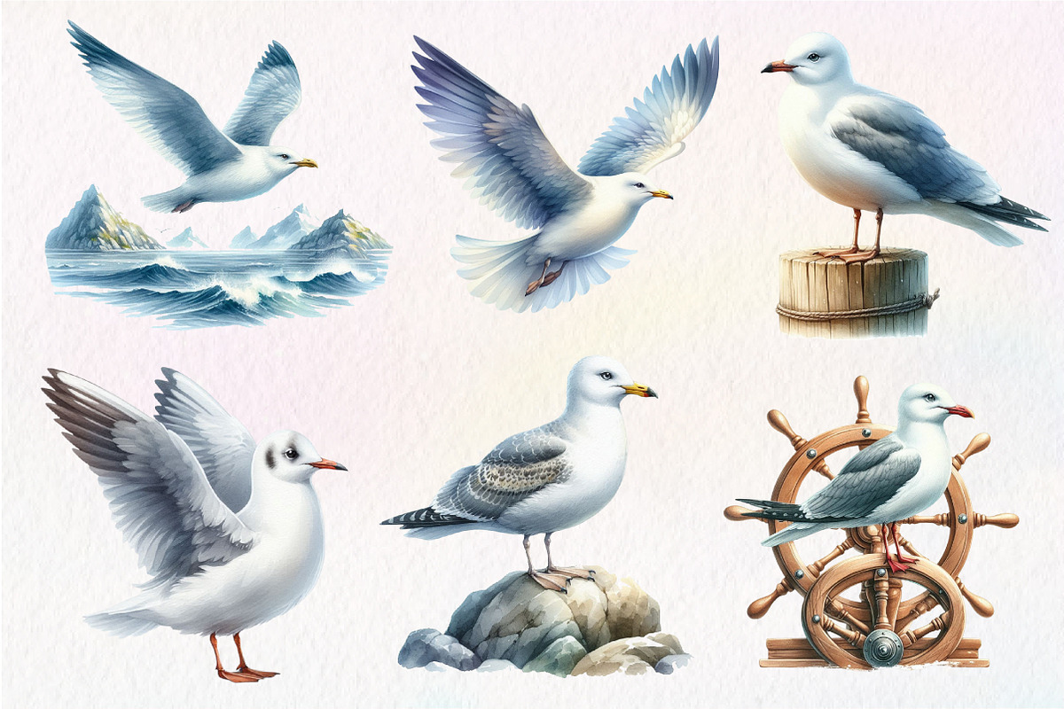 Watercolor Seagulls Clipart, an Illustration by Dream Creation (Photo 3 of 7)