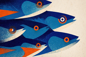 Colorful fish swim in a group, a Photo by Beautiful things
