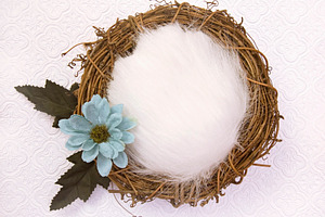 Newborn backdrop  nest and daisy featuring newborn, background, and backdrop