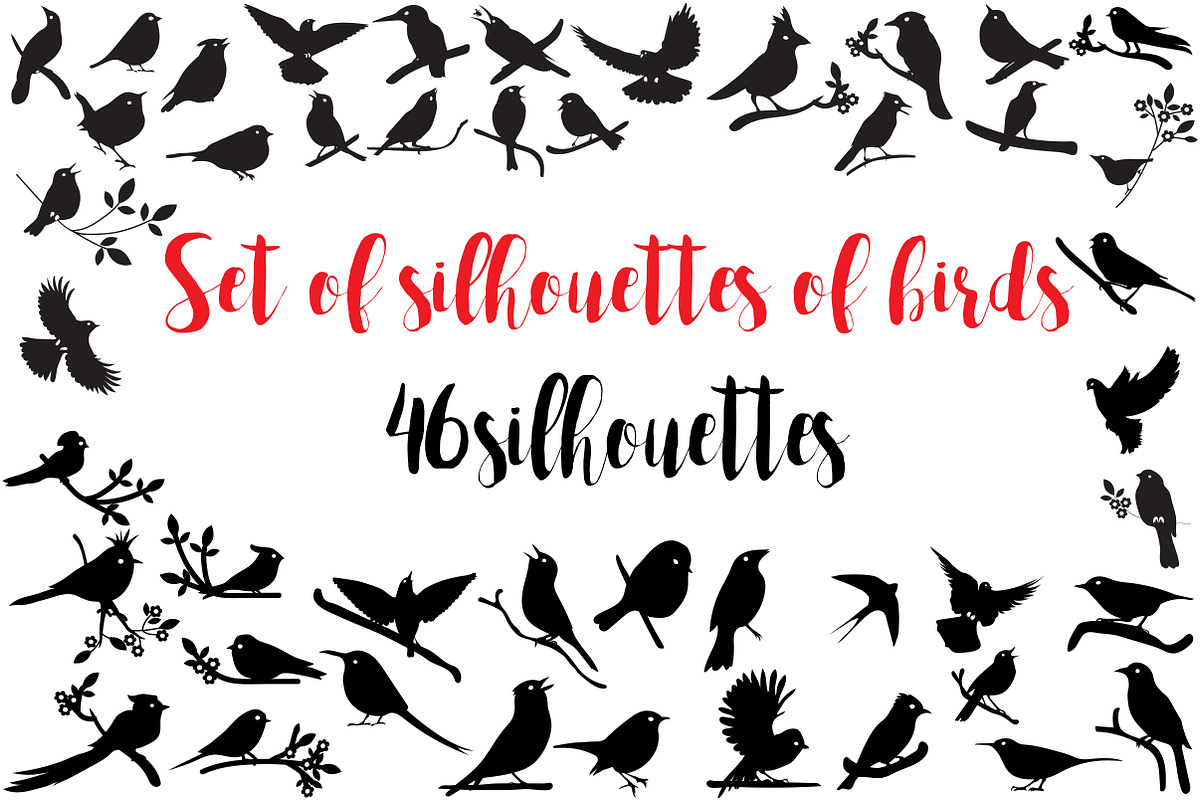 Silhouettes of  birds, an Object Graphic by Orangepencil