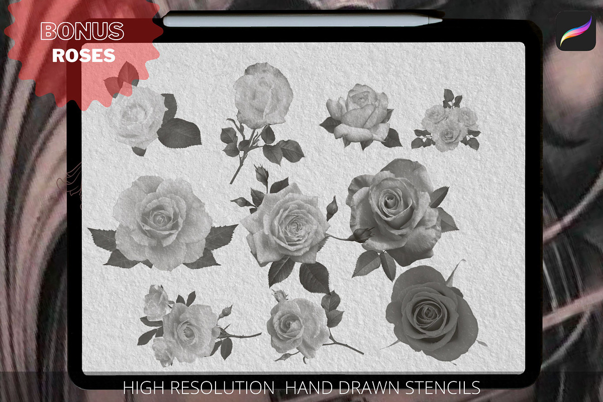Acanthus Ornaments, Procreate Brush, a Brushes & More by Tattoo Worker Studio (Photo 6 of 6)