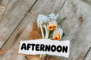 Queen Design, a Script Font by InermediaSTUDIO (Thumbnail 3 of 7)