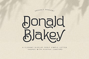 Donald Blakey Retro Serif, a Serif Font by Cruzine (Thumbnail 1 of 10)