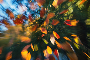 A dynamic, blurred image of autumn leaves swirling in the air, capturing the es, a Photo by Textures & Backgrounds