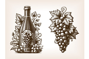 wine bottle and grape cluster, a Food Illustration by AlexArt