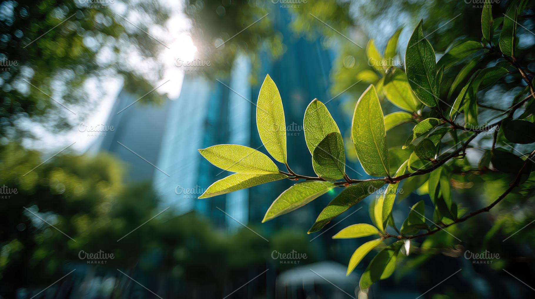 Bright Sunlight Green Leaves Urban N, a Photo by Pixeness Studio