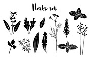 Herbs set, a Food Illustration by Tabita's shop (Thumbnail 5 of 5)