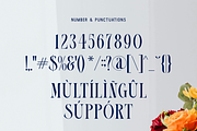 Hailove, a Serif Font by Zafiratype (Thumbnail 14 of 15)