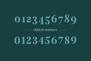 Nevoa Medium, a Script Font by OceaneM (Thumbnail 5 of 7)