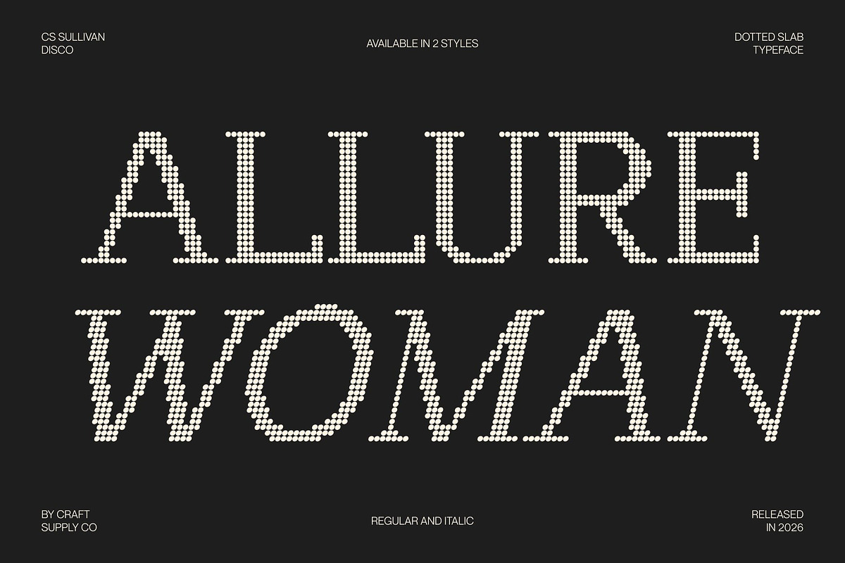 CS Sullivan Disco, a Serif Font by Craft Supply Co. (Photo 4 of 8)