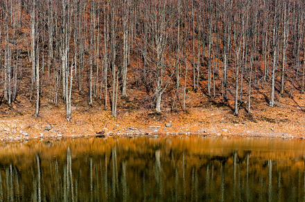Scenic view of lake by trees against sky, Lago Scuro, Ventasso, a Nature Photo by Bepslabor