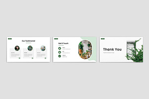 Plants Presentations Template