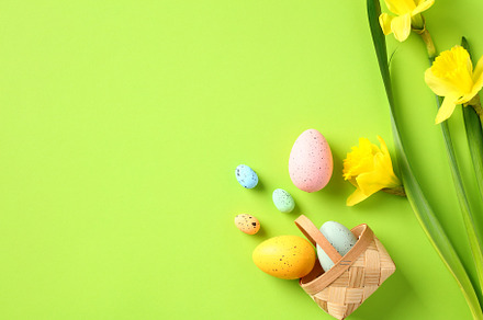 Happy Easter banner template. Easter eggs and daffodil flowers on green backgro, a Holiday Photo by photoguns