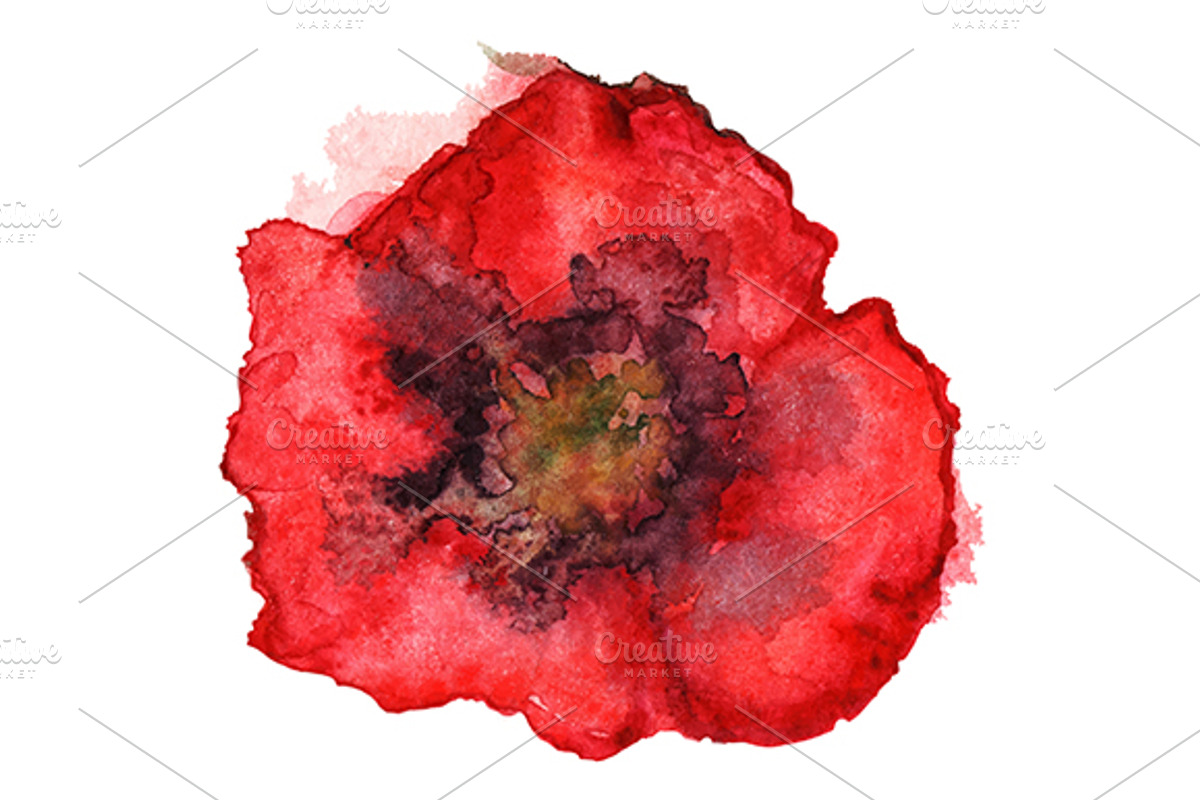 Watercolor red poppy flower, a Decorative Illustration by Art By Silmairel
