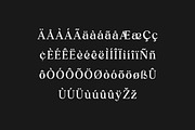 Retrodict Modern Serif Retro Font, a Serif Font by UICreative (Thumbnail 9 of 13)