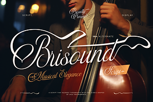 Brisound, a Script Font by Burntilldead